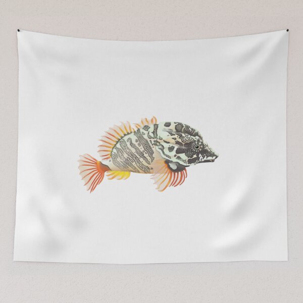 Item preview, Grunt Sculpin (Rhamphocottus richardsonii) designed and sold by SeaMonstress.