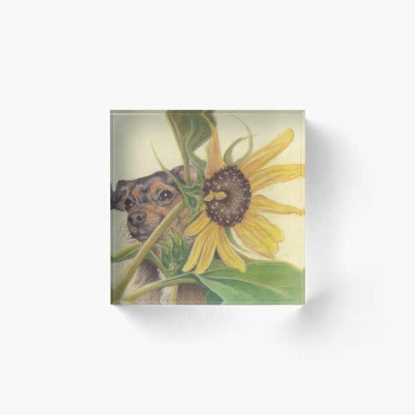 Pup with Sunflower Acrylic Block