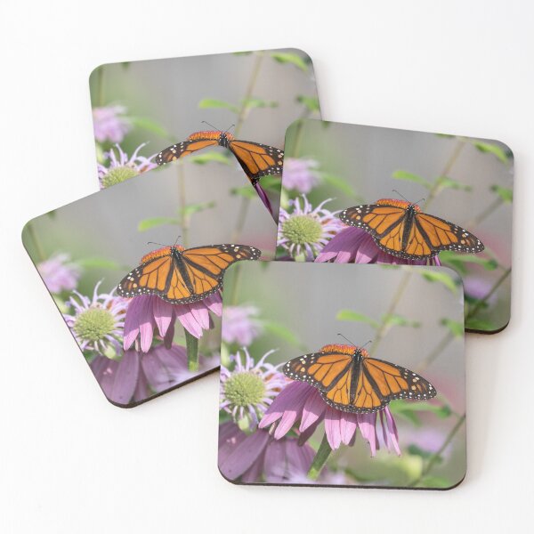Item preview, Monarch 2019-3 designed and sold by Thomasyoung.