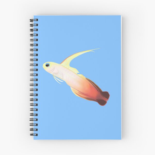 Item preview, Fire Dartfish (Nemateleotris magnifica) designed and sold by SeaMonstress.