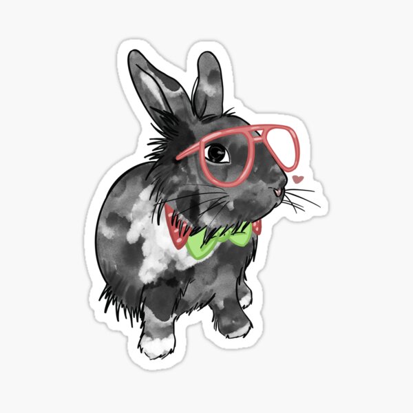 Einstein bun Sticker
