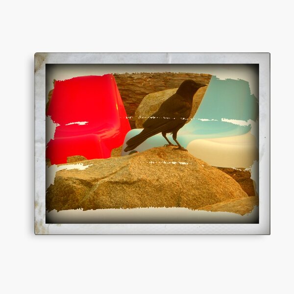 The Black Crow Canvas Print