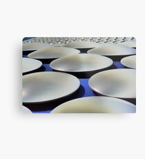 Bull Ring Discs Metal Print