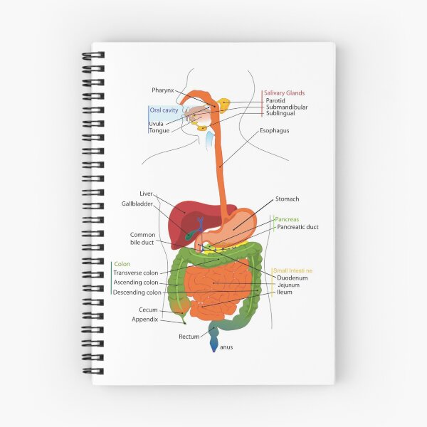 Item preview, The body study guide. designed and sold by WeMadeOurWorld.