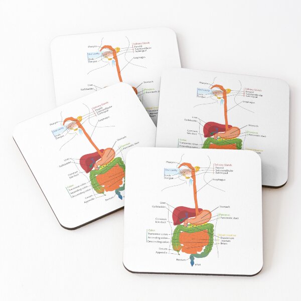 Item preview, The body study guide. designed and sold by WeMadeOurWorld.
