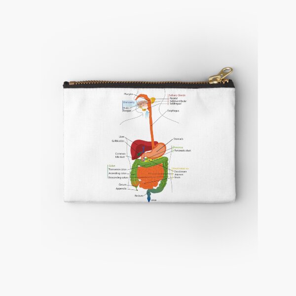 Item preview, The body study guide. designed and sold by WeMadeOurWorld.