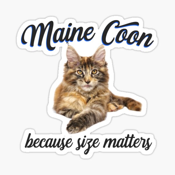 Item preview, Maine Coon Cat Because Size Matters designed and sold by kudostees.