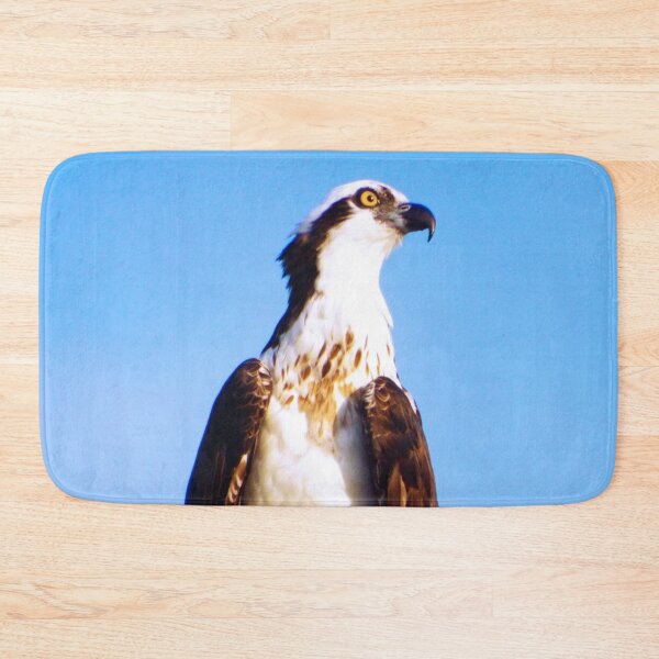 Item preview, Osprey designed and sold by Photosinic.