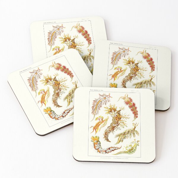 Item preview, Plate 43. Nudibranchia, sea slugs. designed and sold by Squirrox.