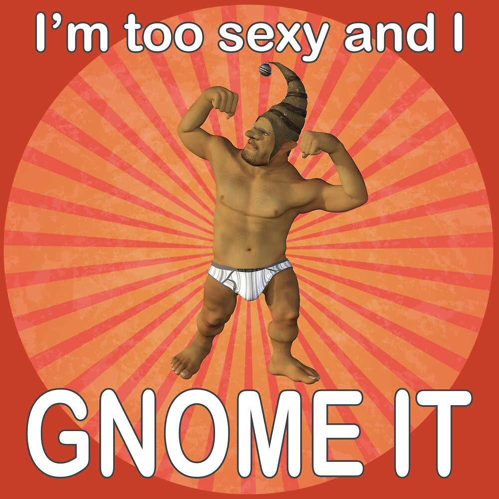 Too Sexy And I Gnome It By Andy Renard Redbubble