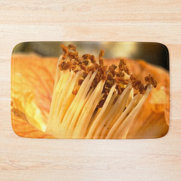 Item preview, End Of Winters Camellia designed and sold by Joy Watson - Natural Light Photography .