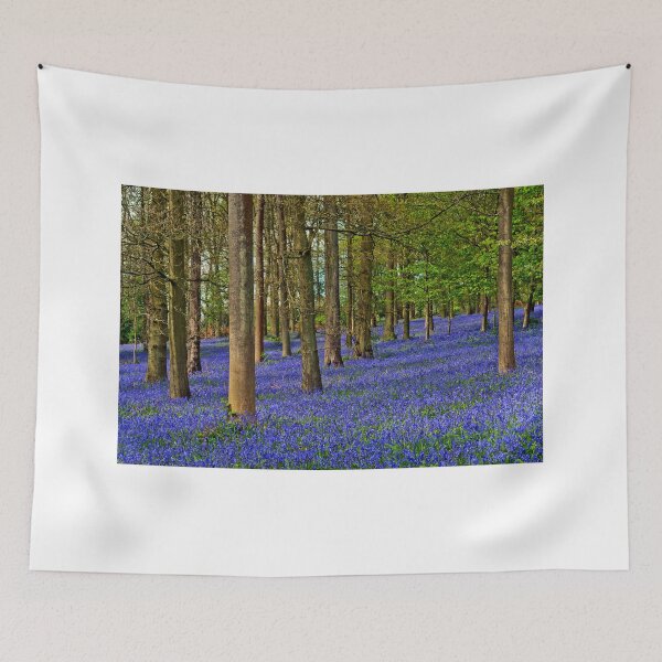 Item preview, Bluebell Woods Greys Court Oxfordshire UK designed and sold by AndyEvansPhotos.