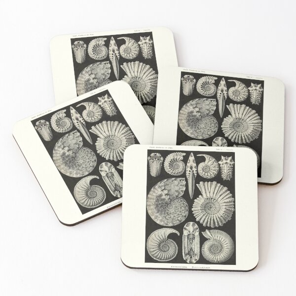 Item preview, Plate 44. Ammonites, an order of extinct cephalopods from the Jurassic and Cretaceous periods designed and sold by Squirrox.