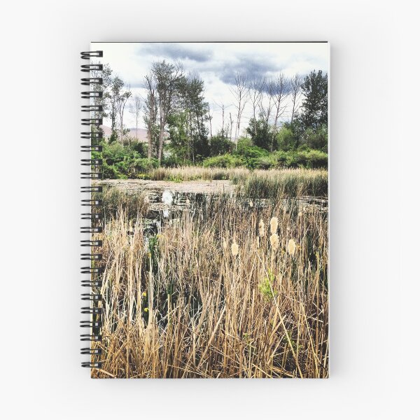 Item preview, Cattails Surrounding a Swampy Wetland Area designed and sold by JULIENICOLEWEBB.