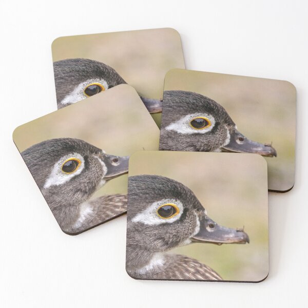 Item preview, Female mandarin duck designed and sold by GreyFeatherPhot.