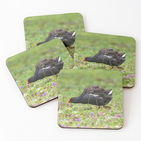 Item preview, Moorhen displaying among flowers designed and sold by GreyFeatherPhot.