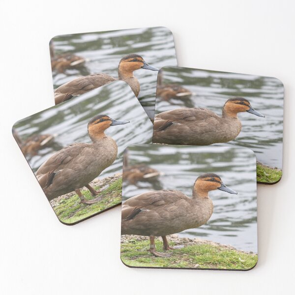 Item preview, Philippine duck designed and sold by GreyFeatherPhot.