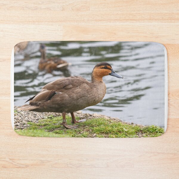 Item preview, Philippine duck designed and sold by GreyFeatherPhot.