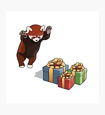 Lámina fotográfica Red Panda obtiene regalos