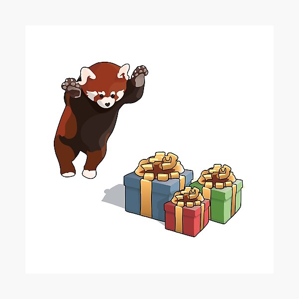 Roter Panda bekommt Geschenke Fotodruck