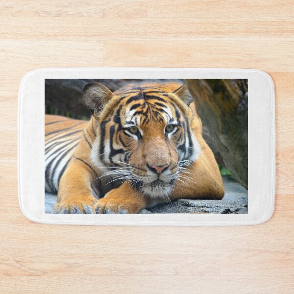 Item preview, Relaxing Tiger designed and sold by richardbryce.