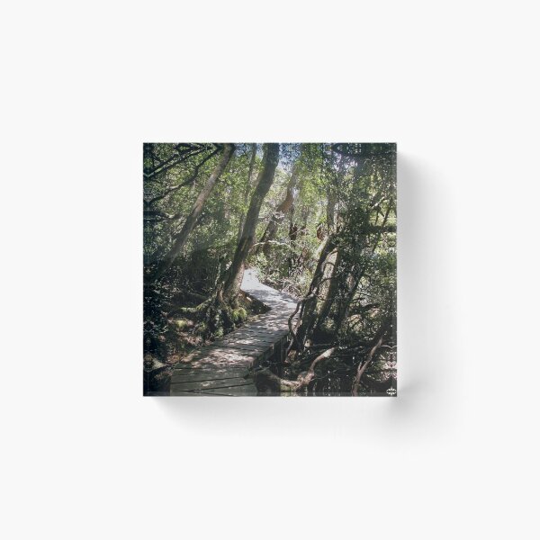 Item preview, Pathway to Wonder, Dove Lake, Cradle Mountain, Tasmania, Australia.  designed and sold by kaysharp.