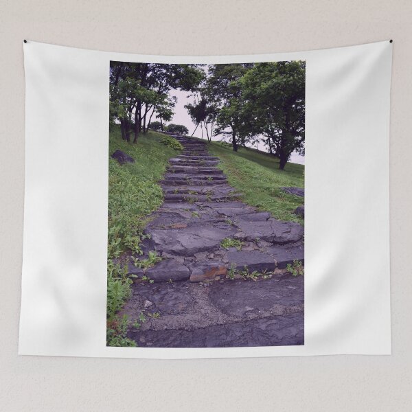Item preview, Steps on Campus of Far East Federal University, Vladivostok, Russia designed and sold by Igor Pozdnyakov.