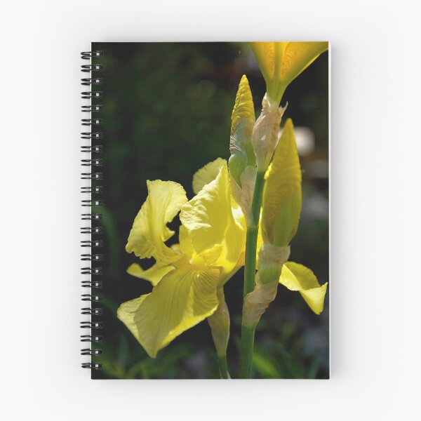 Item preview, Yellow Frills designed and sold by Alexandra Lavizzari.