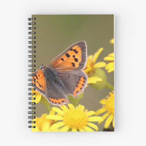 Item preview, small copper designed and sold by tammy mellor.
