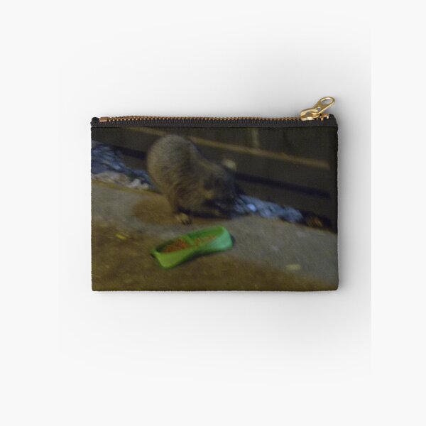 Item preview, Baby Kit Looks Marsupial designed and sold by Navigator.