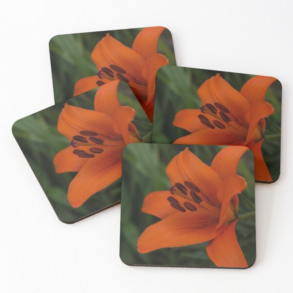 Item preview, A Solo Daylily designed and sold by Georgia Mizuleva.