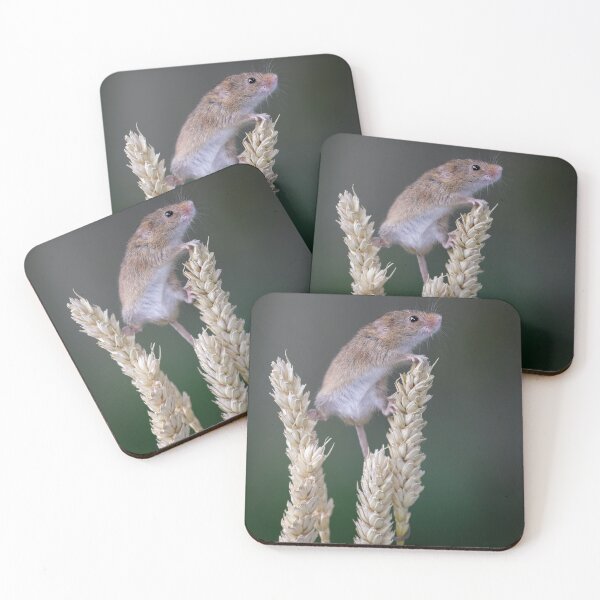 Item preview, Harvest mouse looking designed and sold by Dave Tucker.