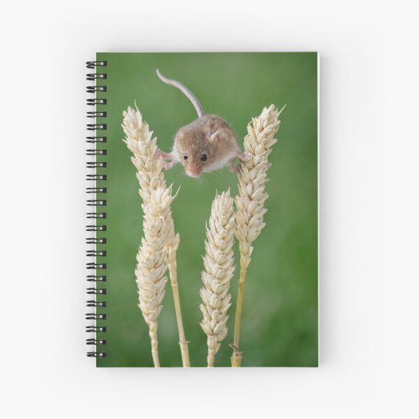 Item preview, Harvest mouse balancing designed and sold by Dave Tucker.