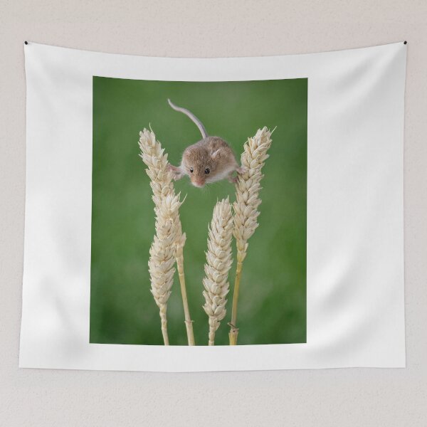 Item preview, Harvest mouse balancing designed and sold by Dave Tucker.