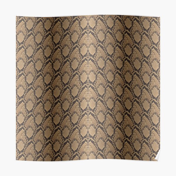 Golden Brown Python Snake Skin Reptile Scales Poster