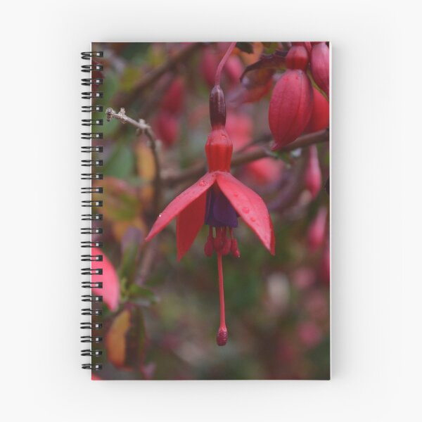 Item preview, Dewy Irish Fuschia designed and sold by Maigen1266.