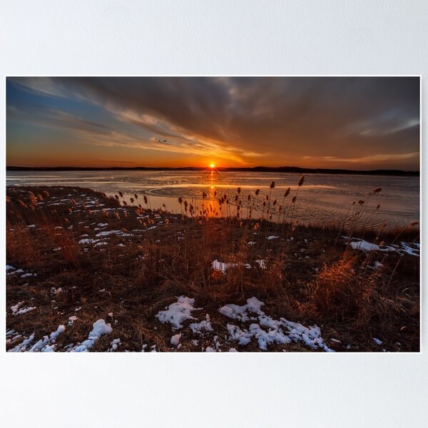 Item preview, Sun sets on Plum Island designed and sold by Owed To Nature.
