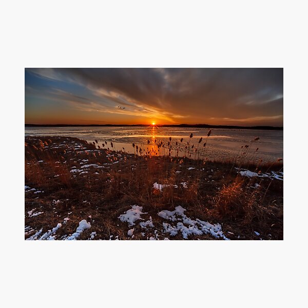 Item preview, Sun sets on Plum Island designed and sold by Owed To Nature.