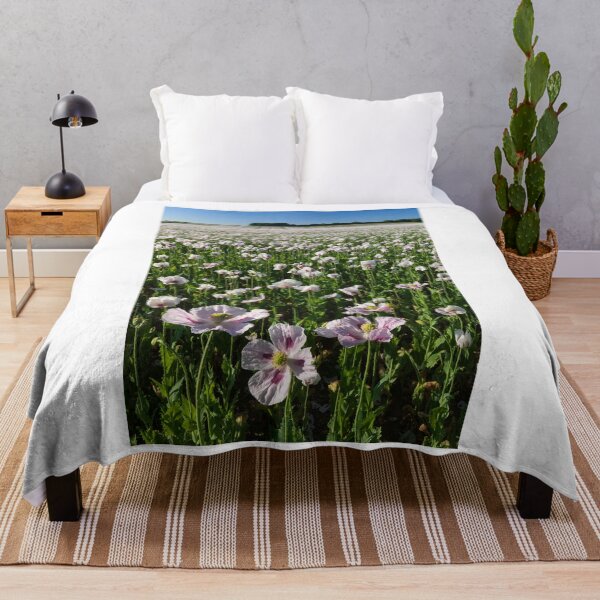 Item preview, Opium poppy field at West Morden (West Morden) designed and sold by bitm2007.