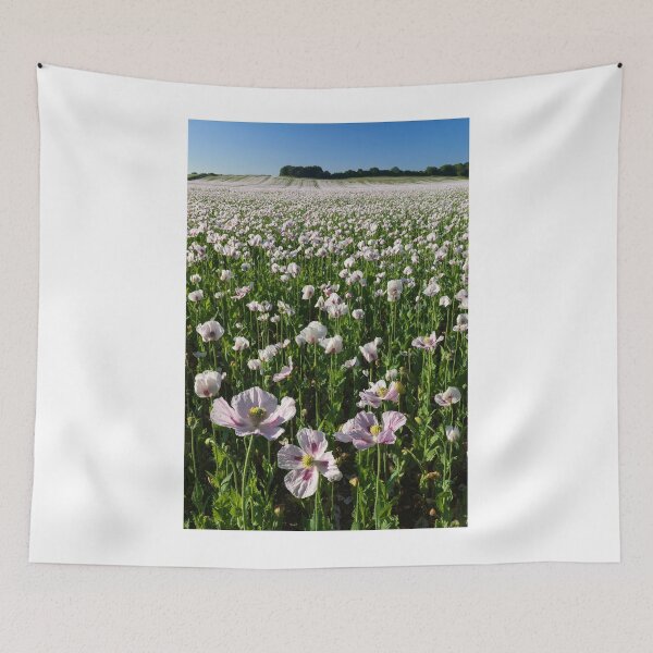 Item preview, Opium poppy field at West Morden (West Morden) designed and sold by bitm2007.