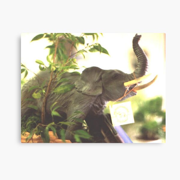 Big Tusker Canvas Print