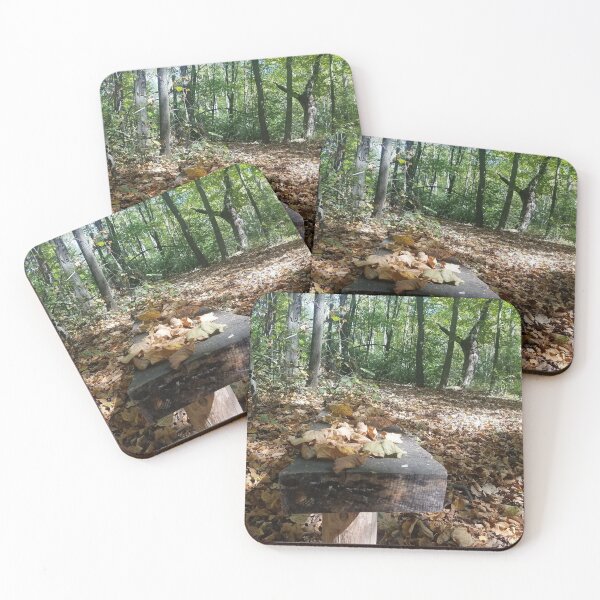 Item preview, Bench in the Minnesota woods. designed and sold by Adventure Graphics.