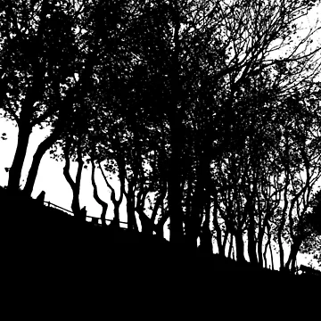 Artwork thumbnail, Treeline by Rees Adams