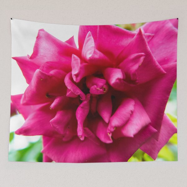 Item preview, Garden Photography #3 designed and sold by Olympia Ellinas.