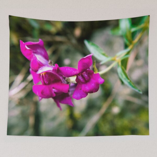 Item preview, Garden Photography #6 designed and sold by Olympia Ellinas.