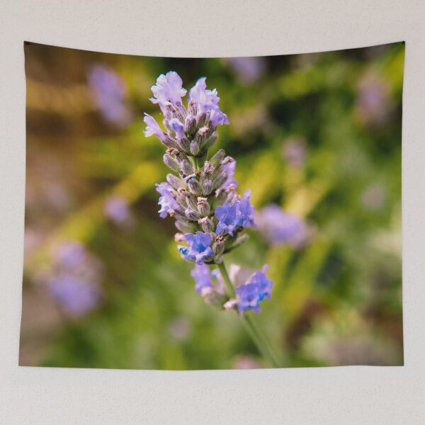 Item preview, Garden Photography #7 designed and sold by Olympia Ellinas.