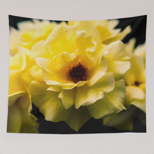 Item preview, Garden Photography #11 designed and sold by Olympia Ellinas.
