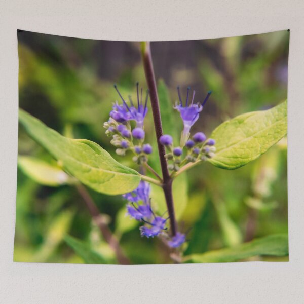Item preview, Garden Photography #13 designed and sold by Olympia Ellinas.