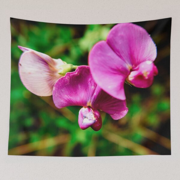 Item preview, Garden Photography #14 designed and sold by Olympia Ellinas.