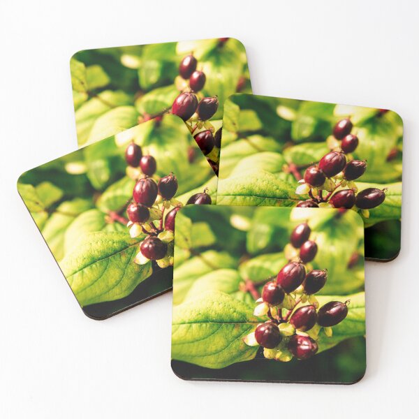 Artikelvorschau, Gartenfotografie #15 entworfen und verkauft von Olympia Ellinas.